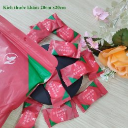 [Set 10 viên] Khăn nén khô Hàn Quốc du lịch sử dụng 1 lần tiện lợi